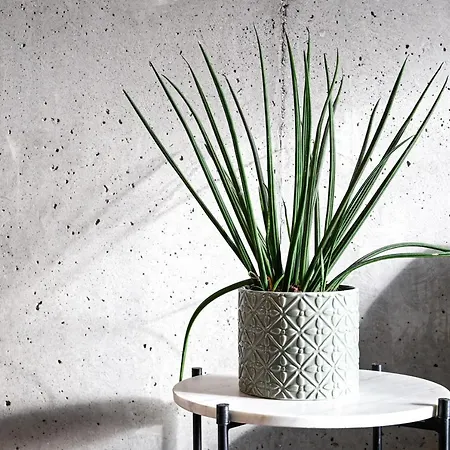 شقة Studio In A Vibrant Neighborhood Islands Brygge *